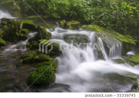 Jangjeon Valley, Pyeongchang County, Gangwon Province Jangjeon Valley, Pyeongchang County, Gangwon Province 55339745