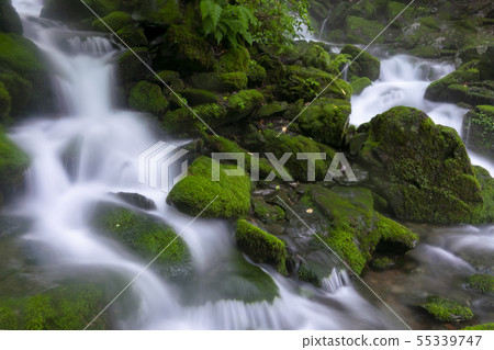 Jangjeon Valley, Pyeongchang County, Gangwon Province Jangjeon Valley, Pyeongchang County, Gangwon Province 55339747