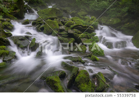 Jangjeon Valley, Pyeongchang County, Gangwon Province Jangjeon Valley, Pyeongchang County, Gangwon Province 55339758
