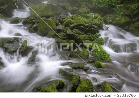 Jangjeon Valley, Pyeongchang County, Gangwon Province Jangjeon Valley, Pyeongchang County, Gangwon Province 55339760