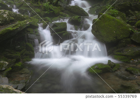 Jangjeon Valley, Pyeongchang County, Gangwon Province Jangjeon Valley, Pyeongchang County, Gangwon Province 55339769
