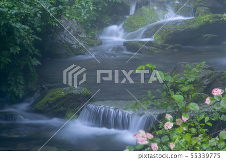 Jangjeon Valley, Pyeongchang County, Gangwon Province Jangjeon Valley, Pyeongchang County, Gangwon Province 55339775