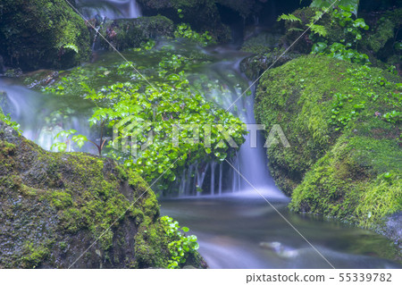 Jangjeon Valley, Pyeongchang County, Gangwon Province 55339782