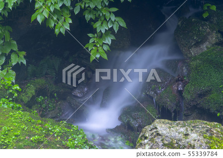 Jangjeon Valley, Pyeongchang County, Gangwon Province Jangjeon Valley, Pyeongchang County, Gangwon Province 55339784
