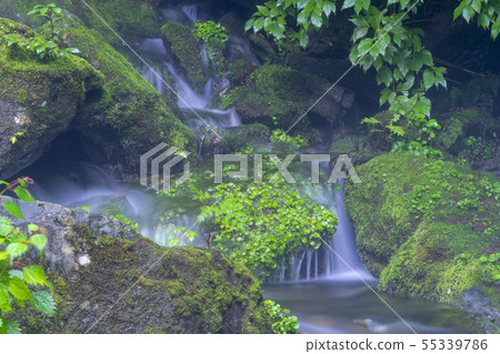 Jangjeon Valley, Pyeongchang County, Gangwon Province Jangjeon Valley, Pyeongchang County, Gangwon Province 55339786