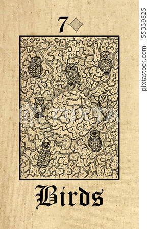 Birds. Lenormand tarot oracle card.  55339825