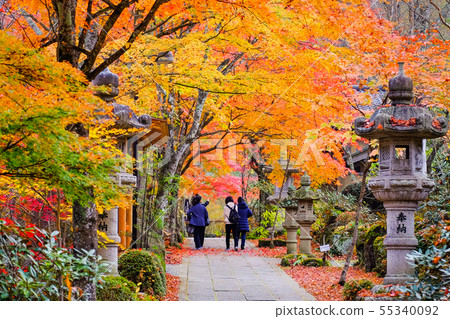 Yamamoto Fudoson（秋季） 55340092