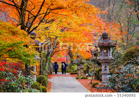 Yamamoto Fudoson(秋季) Yamamoto Fudoson(秋季) 55340093