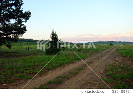 Evening walk with dog and Bicycle in nature. Evening walk with dog and Bicycle in nature. 55340971