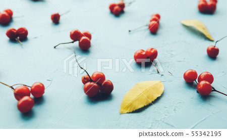 autumn plants arrangement berries background 55342195