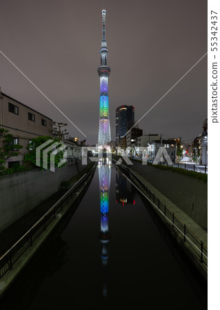 顛倒的樹,有7種顏色的東京天空樹(超廣角)的特殊照明 顛倒的樹,有7種顏色的東京天空樹(超廣角)的特殊照明 55342437