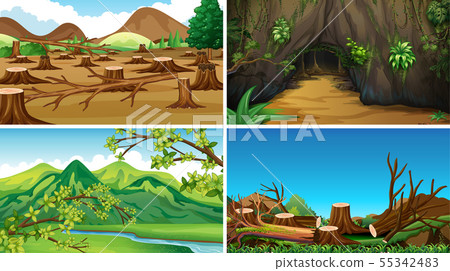 Empty background nature scenery 55342483