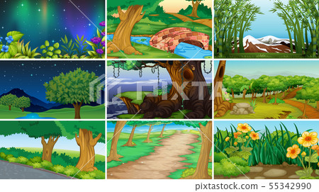 Empty, blank landscape nature scenes 55342990