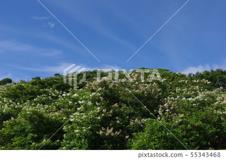 登山 55343468