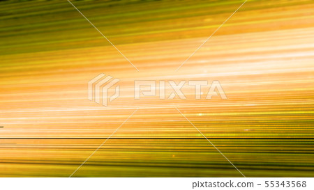 CG line Many glowing rays Orange CG line Many glowing rays Orange 55343568