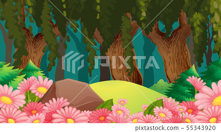 Empty background nature scenery Empty background nature scenery 55343920
