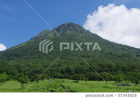 禦府 禦府 55343928