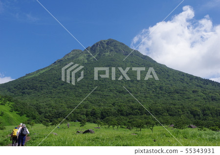 禦府 禦府 55343931