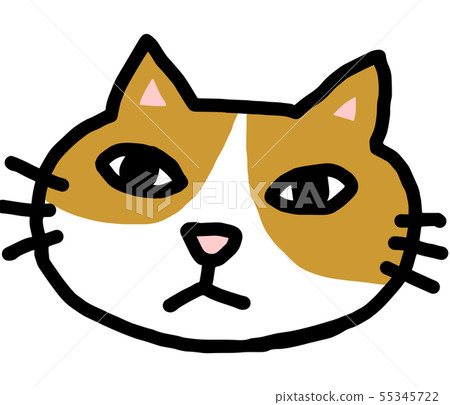 Cat  55345722