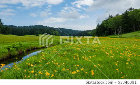 Okase Oi River Marshland Nikko Kishge 55346381