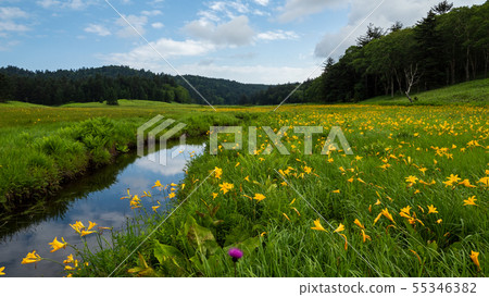 Okase Oi River Marshland Nikko Kishge Okase Oi River Marshland Nikko Kishge 55346382