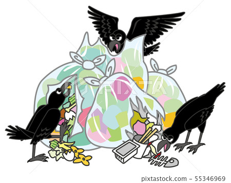 A crow of rubbing rubbish A crow of rubbing rubbish 55346969
