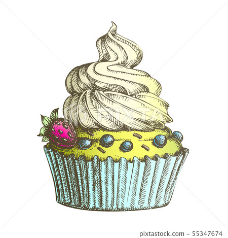 Color Creamy Berry Cake Sweet Dessert Vintage Vector 55347674