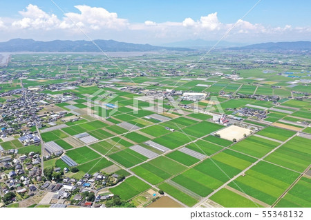 新鮮的綠色鄉村(八代平原)的鳥瞰圖 新鮮的綠色鄉村(八代平原)的鳥瞰圖 55348132