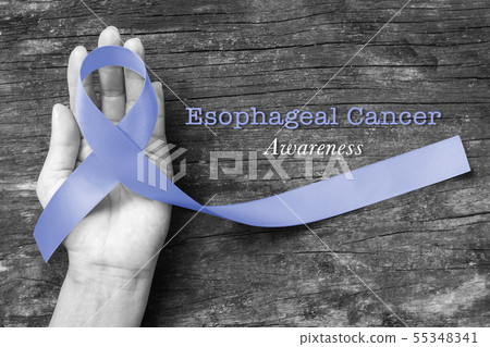 Esophageal cancer awareness Periwinkle ribbon Esophageal cancer awareness Periwinkle ribbon 55348341