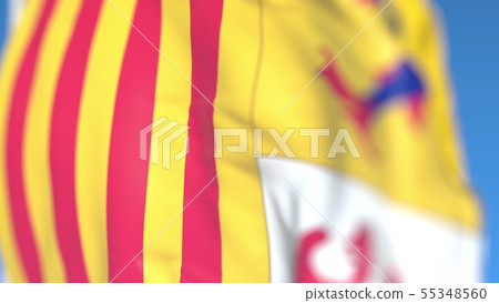 Waving flag of Provence-Alpes-Cote d'Azur, a region of France. Close-up, 3D rendering 55348560