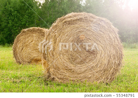 Hay close up. Haystacks. 55348791