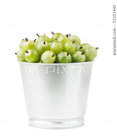 Green ripe gooseberries isolated 55351442