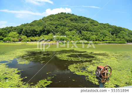 Otonarisan公園的舊池塘（大和山山）[奈良縣K原市] 55351894