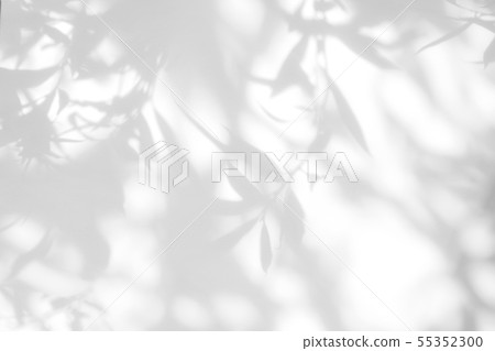 gray shadow of the leaves on a white wall 55352300
