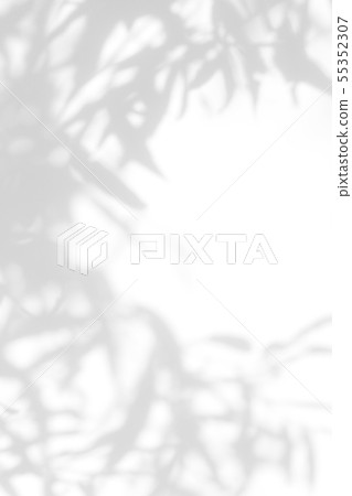 gray shadow of the leaves on a white wall gray shadow of the leaves on a white wall 55352307