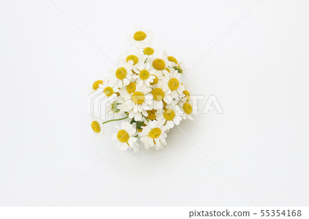 Matriarcharia Matriarcharia 55354168