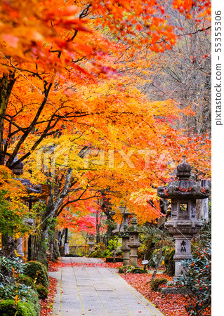 Yamamoto Fudoson (Autumn) 55355306