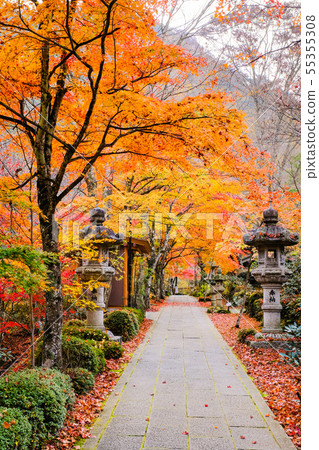 Yamamoto Fudoson（秋季） 55355308