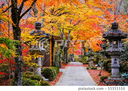 Yamamoto Fudoson (Autumn) Yamamoto Fudoson (Autumn) 55355310