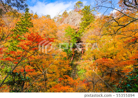 Yamamoto Fudoson（秋季） 55355894