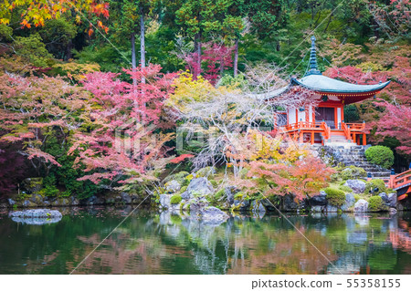 Beautiful Daigoji temple with colorful tree and leaf in autumn season Beautiful Daigoji temple with colorful tree and leaf in autumn season 55358155