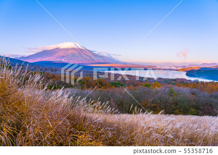 Beautiful fuji mountain in yamanakako or yamanaka lake Beautiful fuji mountain in yamanakako or yamanaka lake 55358716