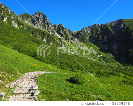 夏季Senjyo Kiki捲髮 55359148