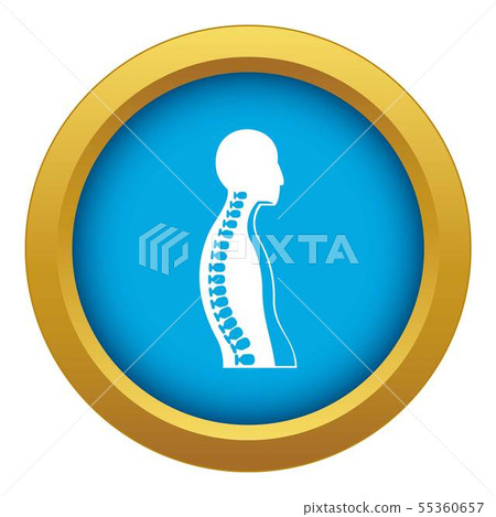 Human spine icon blue vector isolated Human spine icon blue vector isolated 55360657