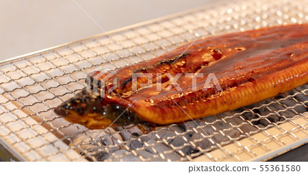 Charcoal-grilled eel (charcoal grill, grilled grill, grilled grilled salmon, grilled barbecue grill, grilled barbecue grill, grilled salmon, camp grilled salmon, grilled salmon) 55361580