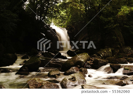 Man waterfall of couple waterfall in Minamioguni town after the rainy season Man waterfall of couple waterfall in Minamioguni town after the rainy season 55362060