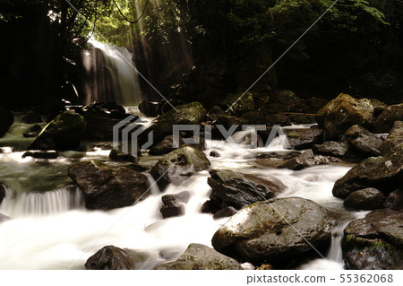 Man waterfall of couple waterfall in Minamioguni town after the rainy season Man waterfall of couple waterfall in Minamioguni town after the rainy season 55362068