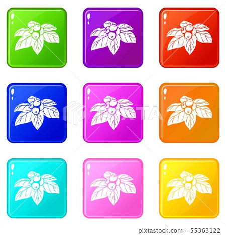 Whortleberries icons set 9 color collection 55363122