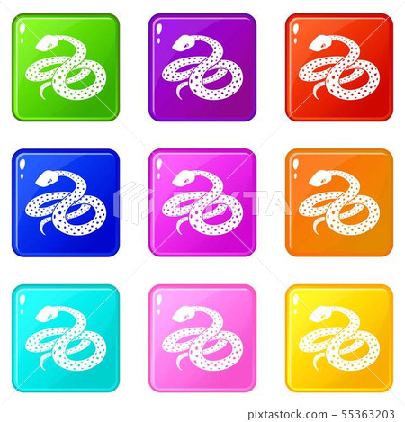 Mexican kingsnake icons set 9 color collection Mexican kingsnake icons set 9 color collection 55363203