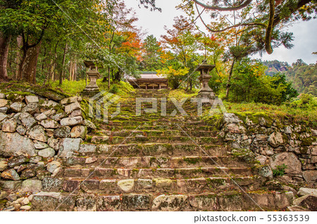 Autumn Shiga Sakamoto Hiyoshi Taisha Hayao Shrine Autumn Shiga Sakamoto Hiyoshi Taisha Hayao Shrine 55363539